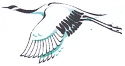 Crane Crane