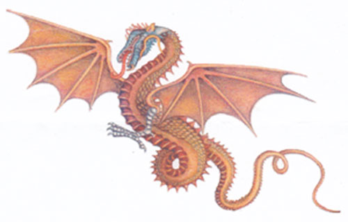 Dragon Dragon