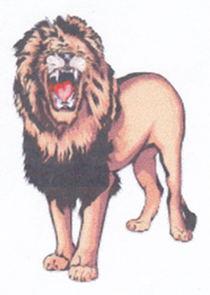 Lion Lion