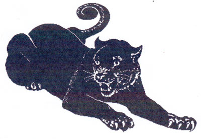 Panther Panther