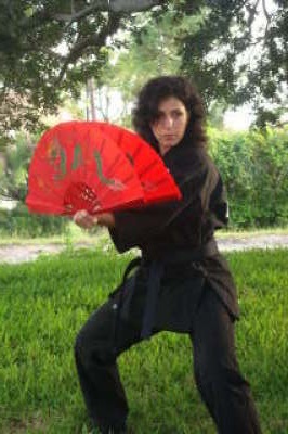 Sensei Jerri - Fighting fans